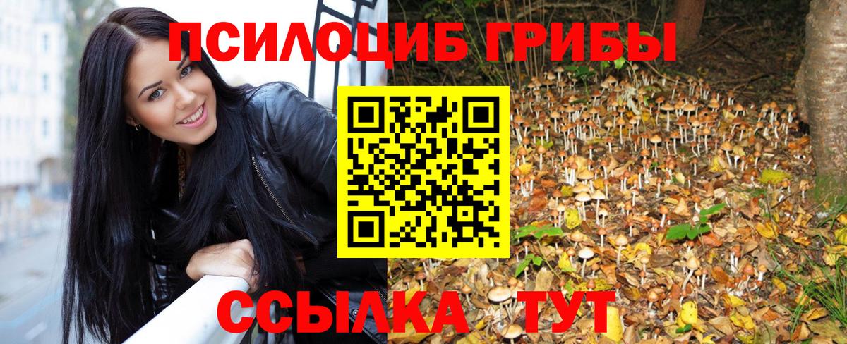 Псилоцибиновые грибы мицелий Сургут