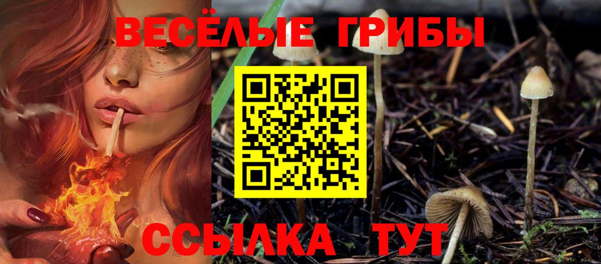Галлюциногенные грибы Psilocybine cubensis  Вход с VPN  Сургут  Псилоцибиновые грибы MAGIC MUSHROOMS 